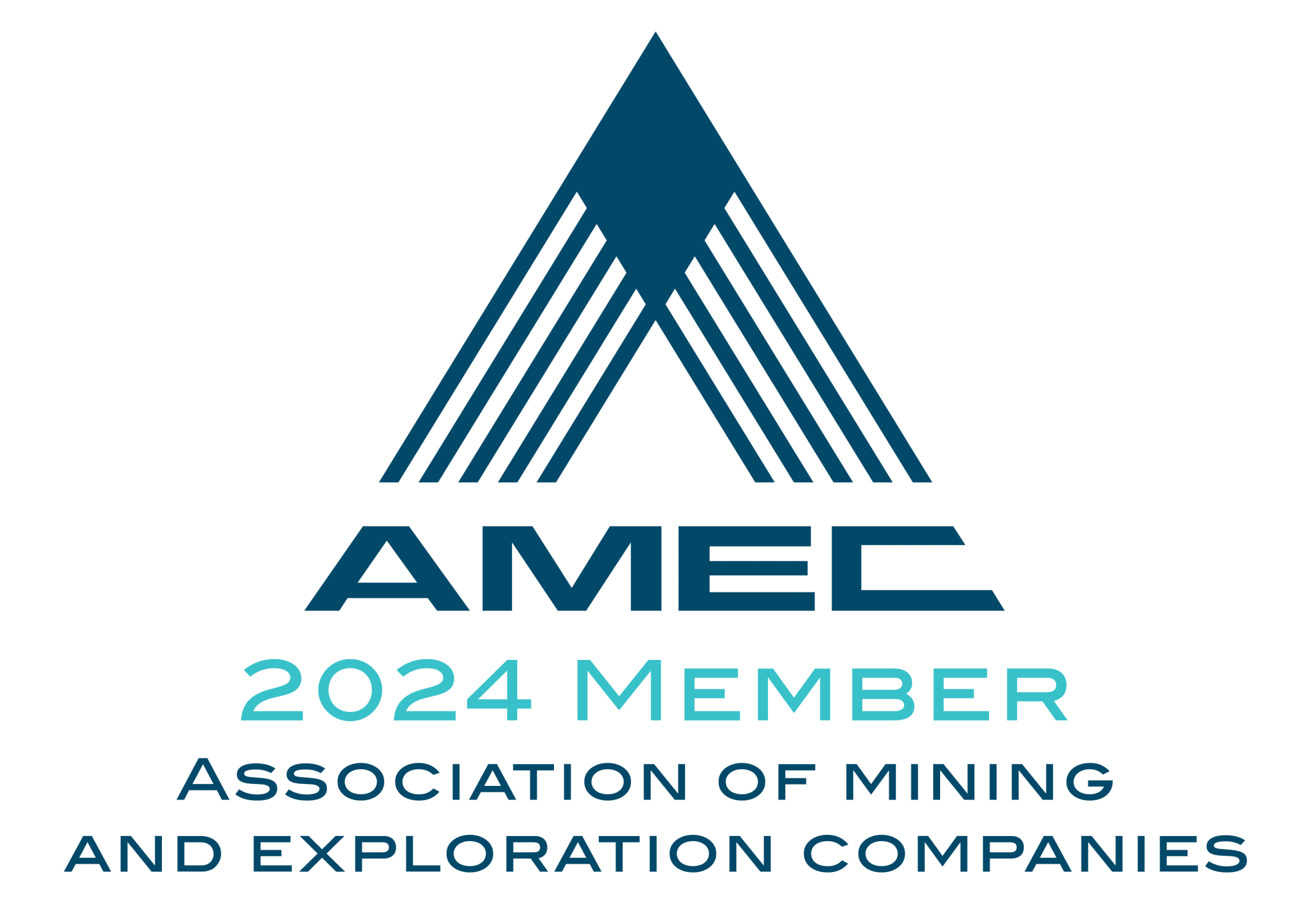 amec-2024-member